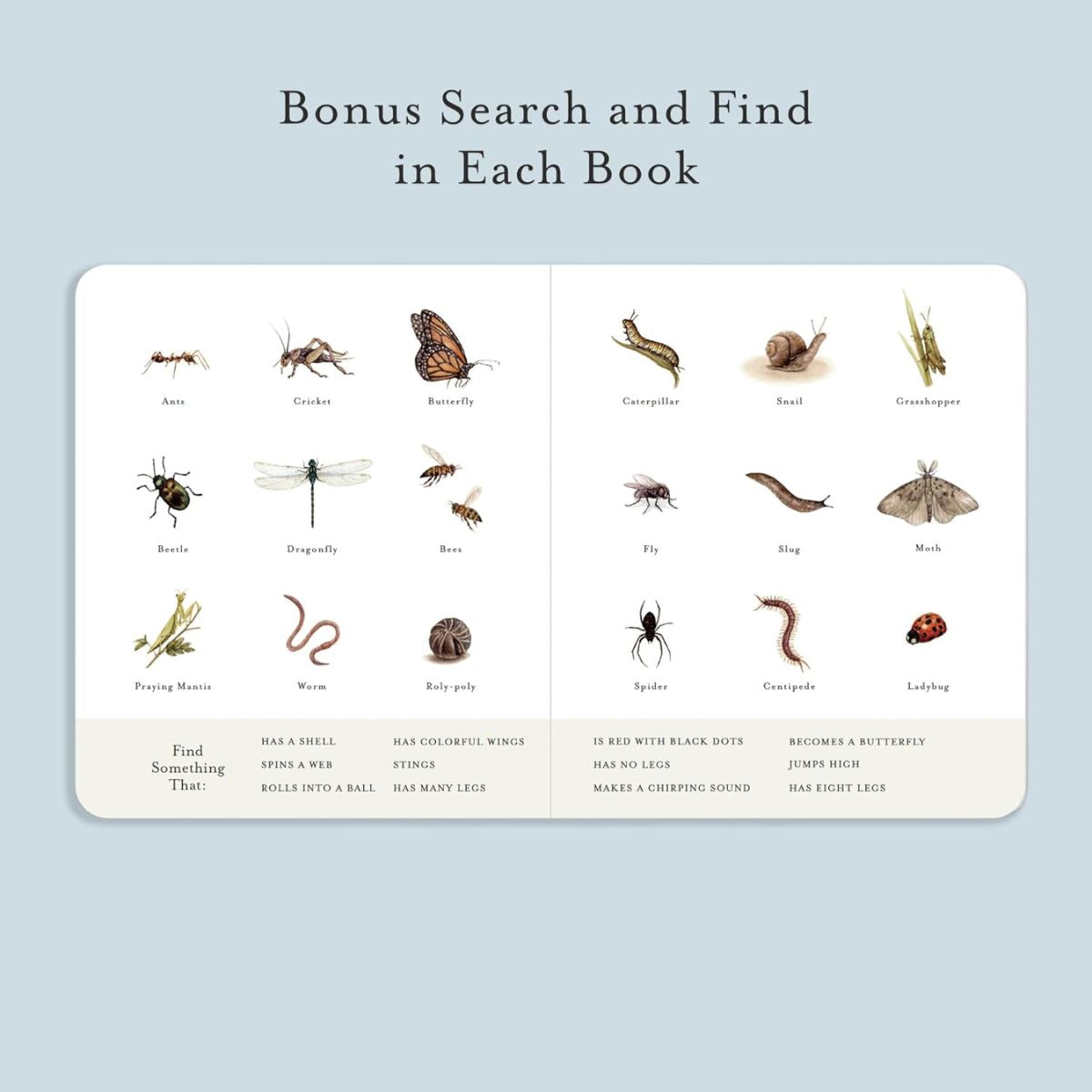 Our Little Library: A Foundational Language Vocabulary Board Book Set for Babies Vol 3 on Luna Baby Store Miami