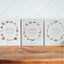 Our Little Library: A Foundational Language Vocabulary Board Book Set for Babies Vol 3 on Luna Baby Store Miami