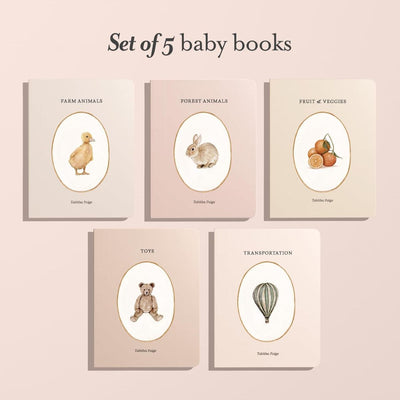 Our Little Library: A Foundational Language Vocabulary Board Book Set for Babies Vol 1