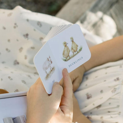 Our Very Little Library Board Book Set - 10 books