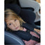 Babyark Smart Convertible Car Seat Charcoal Grey / Midnight Blue