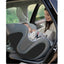 Babyark Classic Convertible Car Seat - Charcoal Grey / Glacier Ice