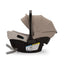 Nuna Trvl Lx + Pipa Urbn Travel System - Cedar