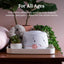 Dohm Sound Machine - White/Pink