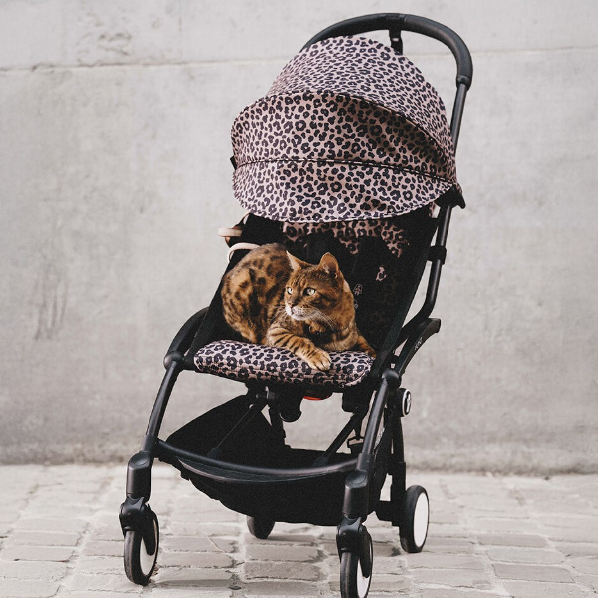 Stokke YOYO3 6+ Wild Collection Ultra-Compact Stroller - Leopard/Black Frame
