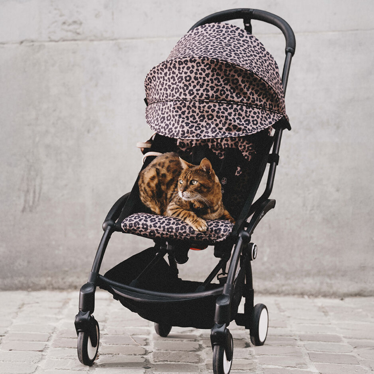 Stokke YOYO3 6+ Wild Collection Ultra-Compact Stroller - Leopard/Black Frame on Luna Baby Store Miami