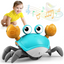Control future Crawling Crab Baby Toy - Green