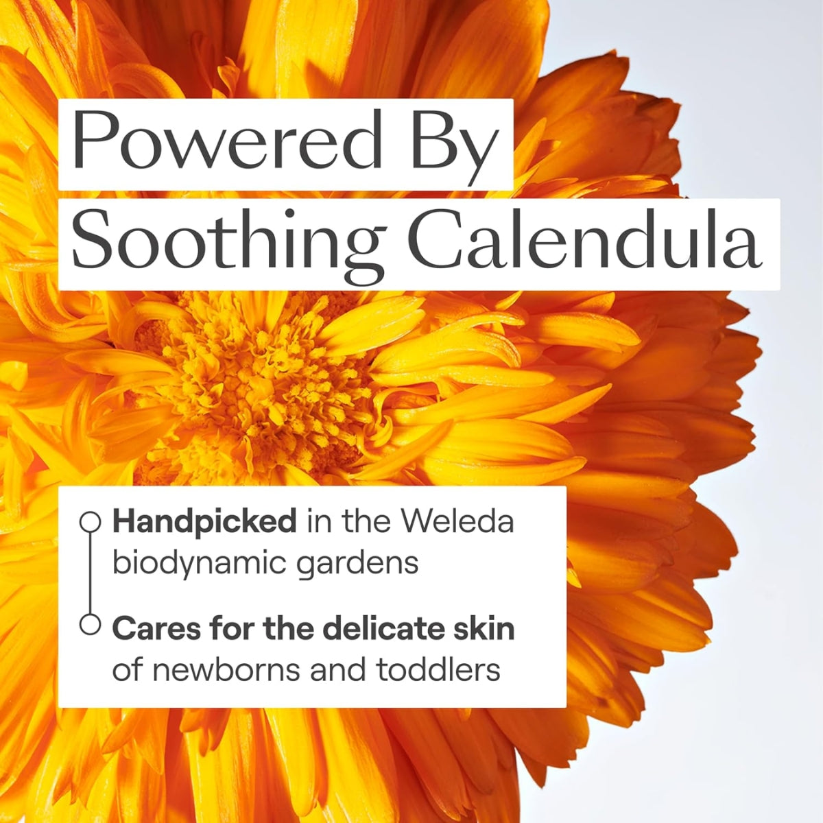 Weleda 2in1 Gentle Shampoo + Body Wash, Calendula 6.8 fl oz