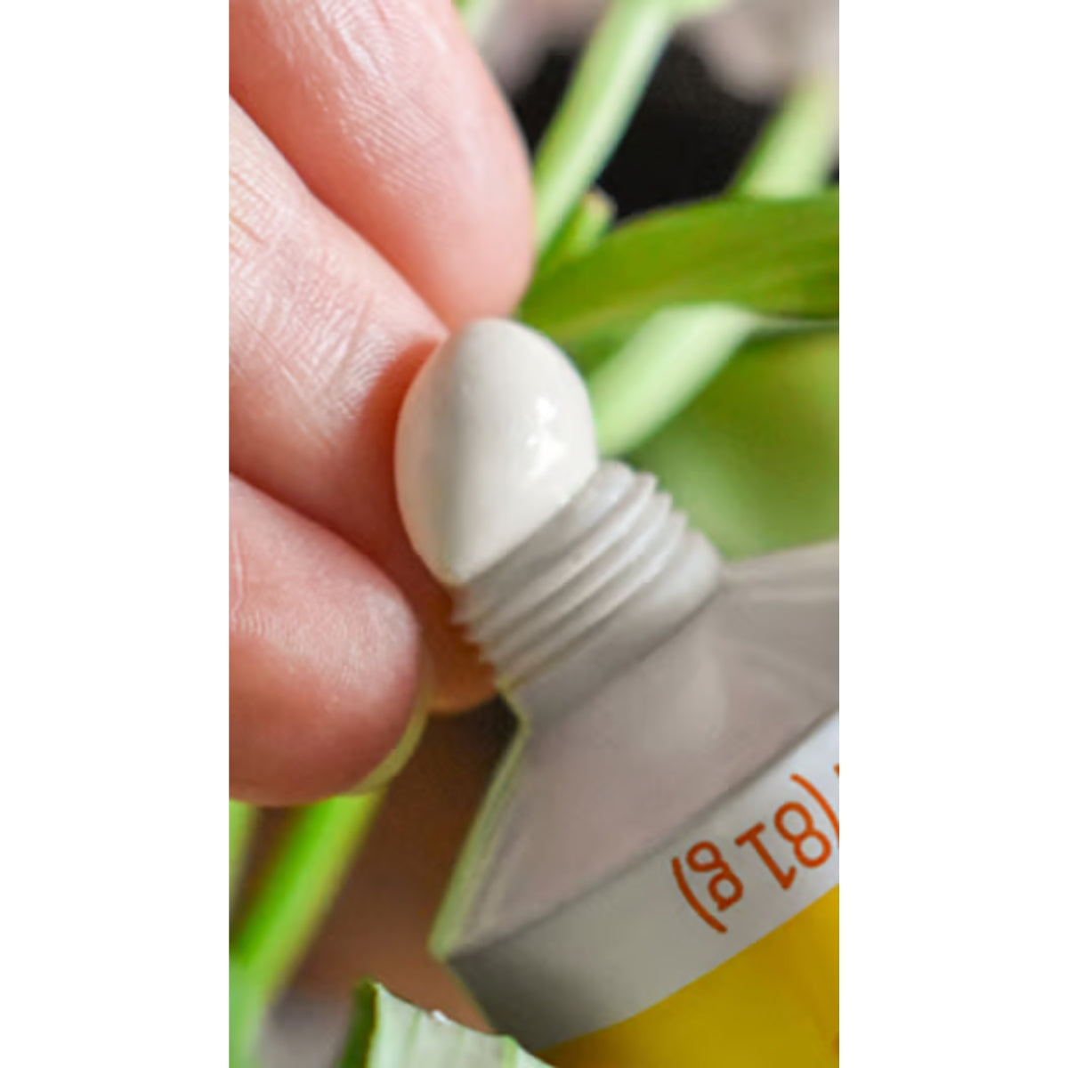 Weleda Calendula Diaper Cream, 2.5 fl oz on Luna Baby Store Miami