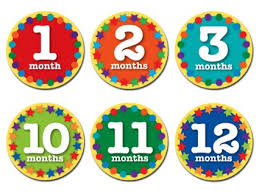 Sticky Bellies Monthly Baby Month Stickers - Luna Baby Modern Store