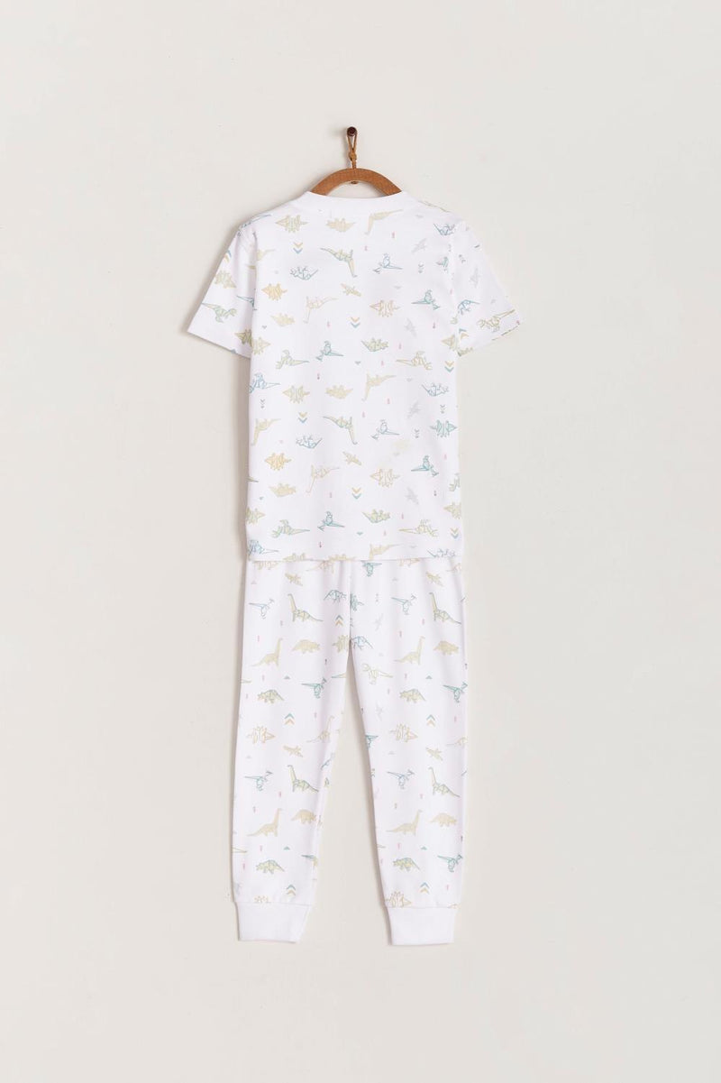 Dino Origami Snug Tee & Pants Pajama Set